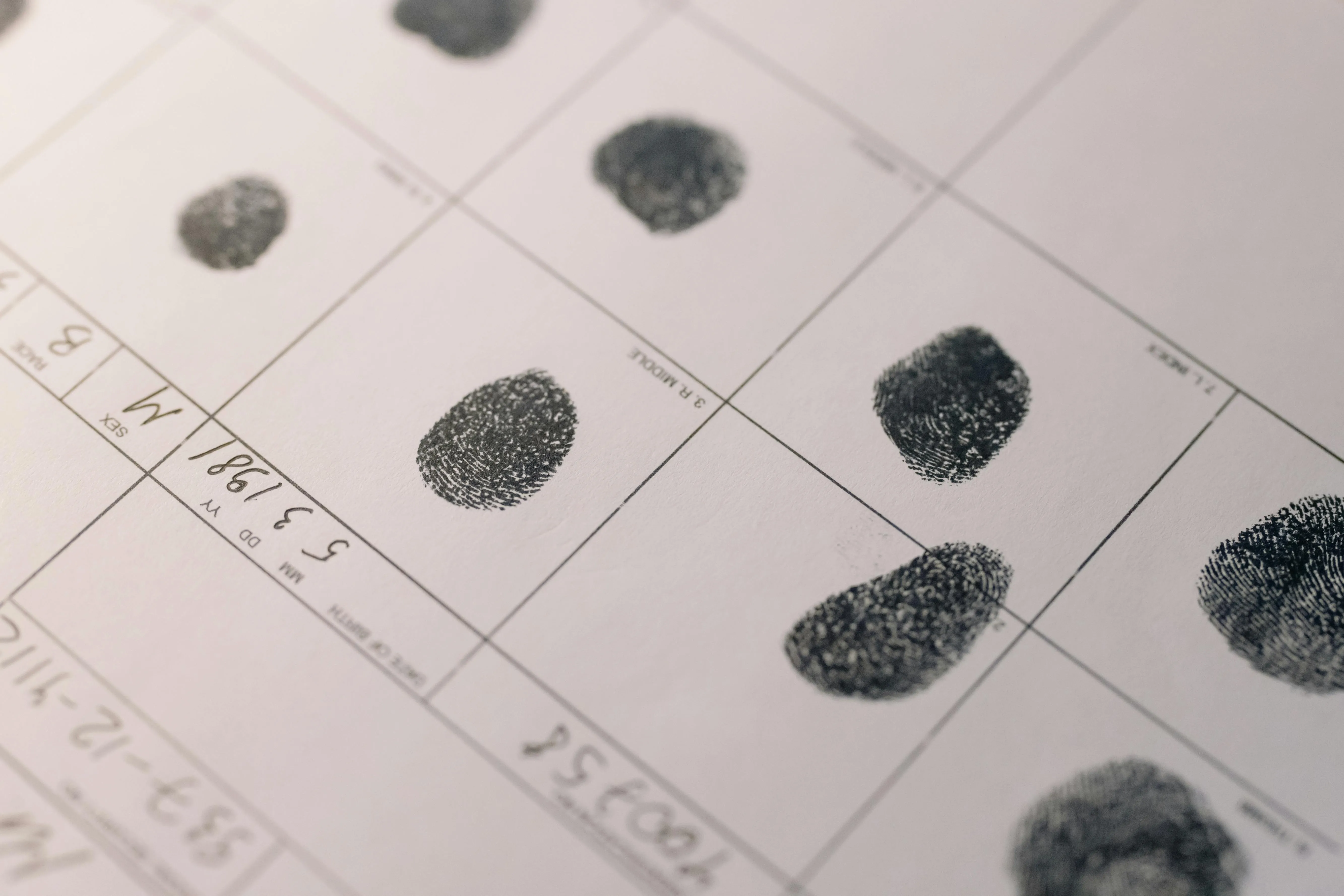 Sealing Your Record While on Probation: What Nevada Law Really Says
